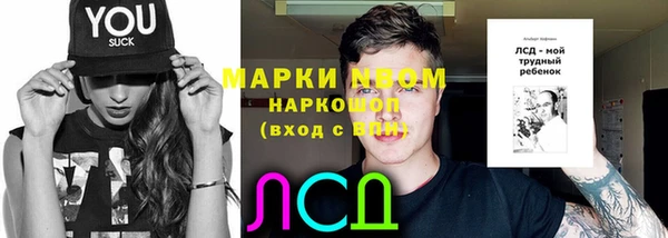 шишки Балабаново
