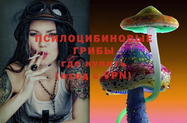 шишки Балабаново