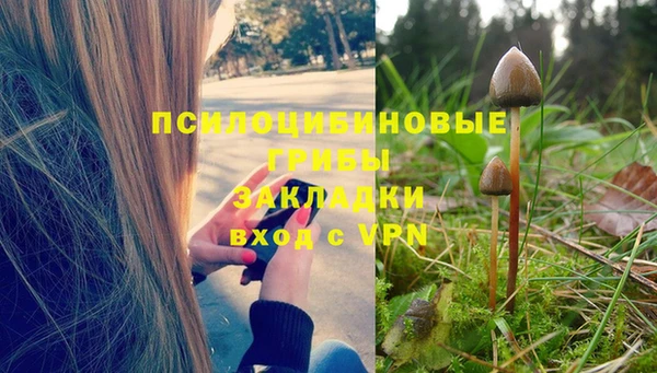 трава Арсеньев